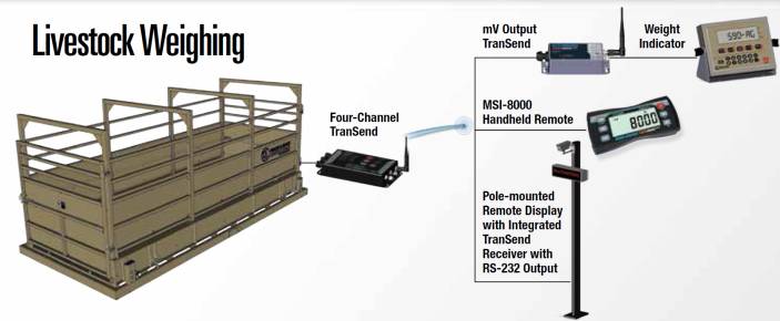 example of livestock weighing chamber with wireless function