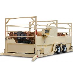 Cattle & Agricultural Livestock Weighing Systems Horse Weighbridge