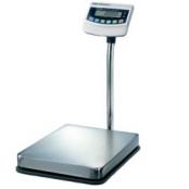 Scales Certified And Built For Wrestling Tournament Weigh-In's