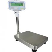 adam-gbc-counting-bench-scale