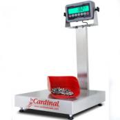 Cardinal Scales RW-500 Floor Scale, Electronic, Portable, 40.5 X 32.5, 500  Lb Capacity, Mild Steel, 185B-DB9 Indicator - Scale Warehouse and More