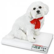 detecto-vet75-puppy-weight-scales